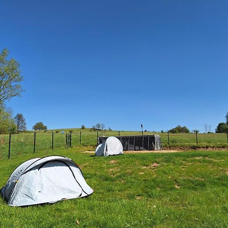 Camping, Zabierz Wlasny Namiot Kameralne Pole Namiotowe Z Basenem Kinem Plenerowym Miejscem Na Ognisko I Placem Zabaw Zywe Zwierzeta Agroturystyka Giebultow  Экстерьер фото
